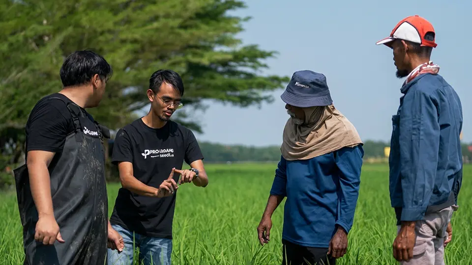 The ProLadang team demonstrating AgriAssist with farmers in a paddy field, credited to ProLadang by WIPO