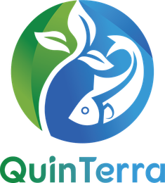 QuinTerra logo