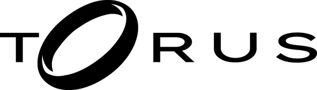 Torus logo